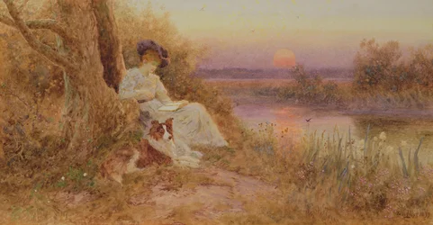 Ein Buch bei Sonnenuntergang